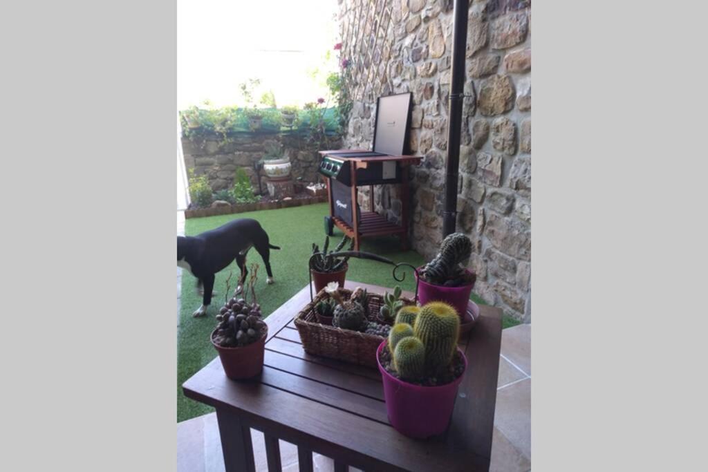 Casa Con Vistas En Uciedaヴィラ エクステリア 写真